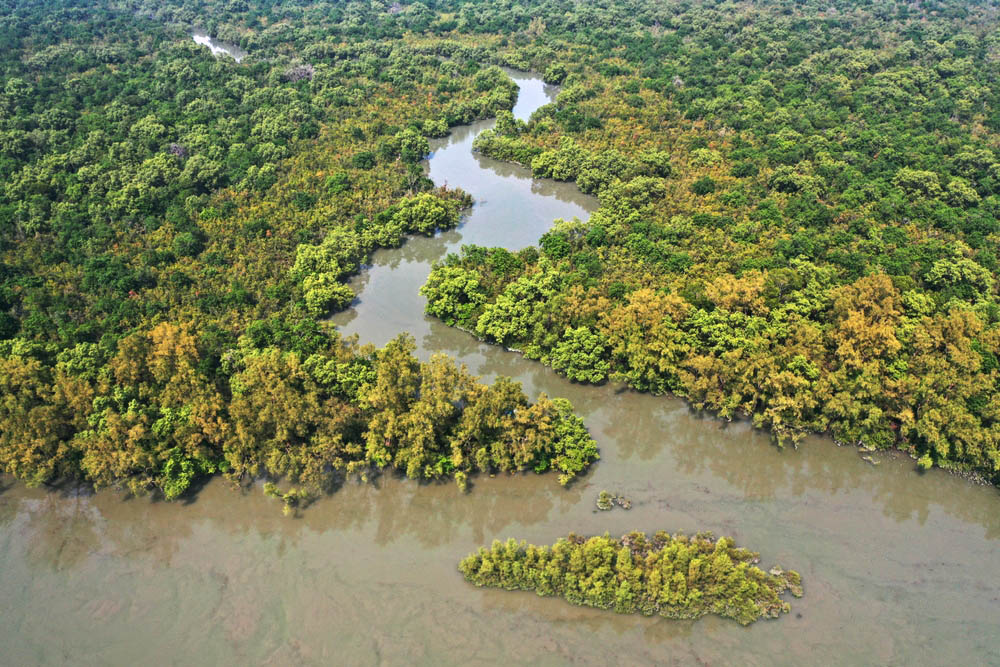 The Sundarbans, mangrove forest of Bangladesh