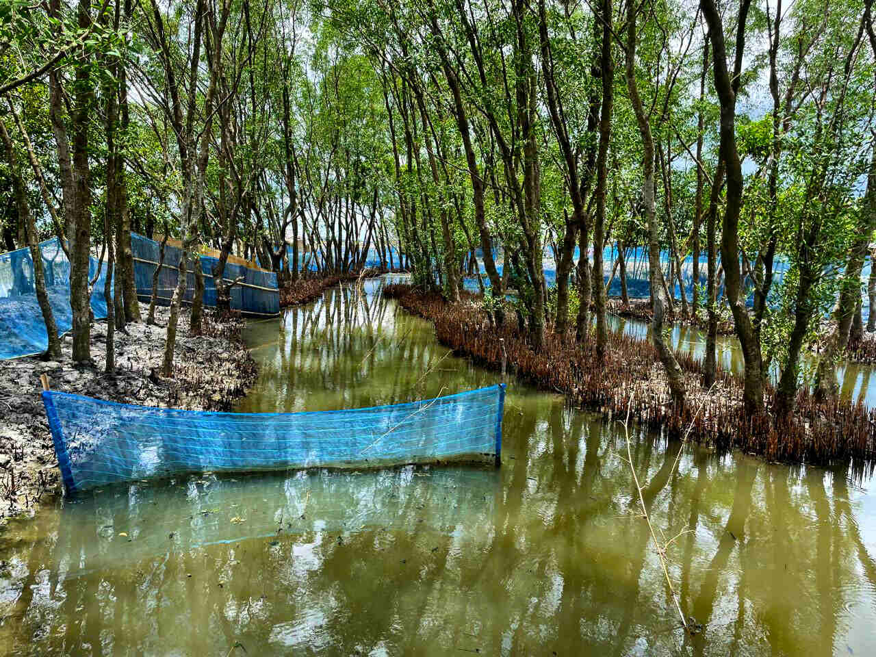 nature positive shrimp farm satkhira khulna bangladesh