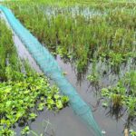 China Duari Net Bangladesh